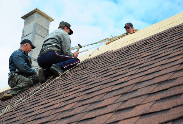 Best Residential Roofing Contractor  in Carthage, IL